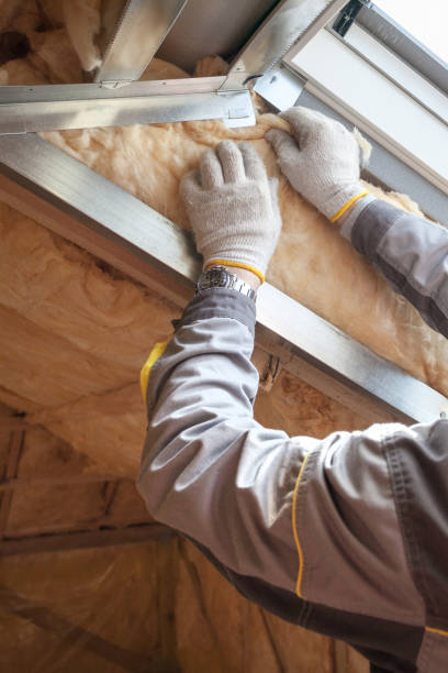 Best Insulation Repair Services  in Dayton, KY