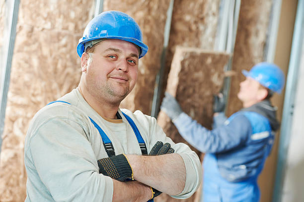 Best Insulation Replacement Services  in Dayton, KY